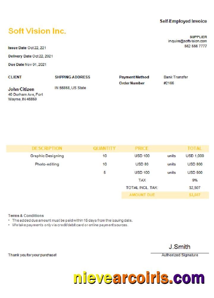USA Soft Vision Inc. invoice